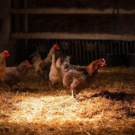 Geetbets De Betze - Country Lifeヴィラ エクステリア 写真
