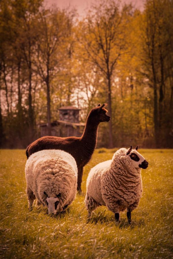Geetbets De Betze - Country Lifeヴィラ エクステリア 写真